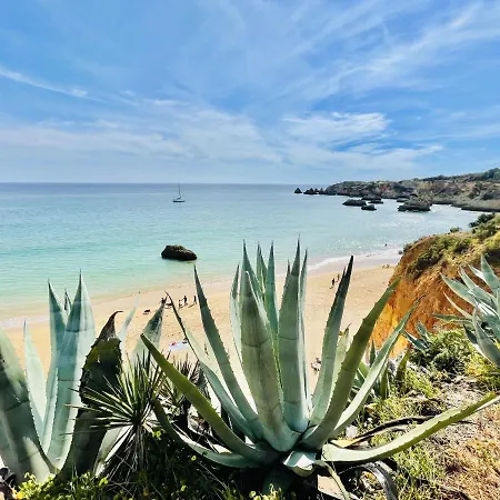 Sublimar - Beachfront - Tv Terrace - Nightlife * 포티마오