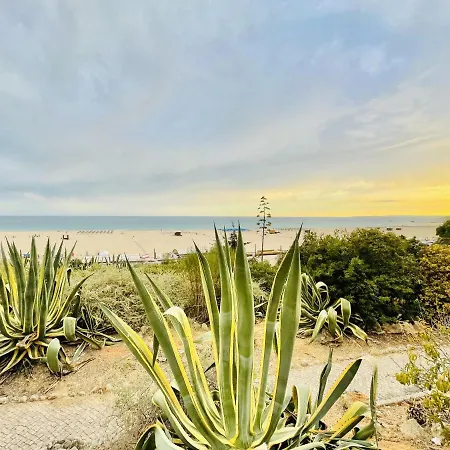 Sublimar - Beachfront - Tv Terrace - Nightlife Appartement *
